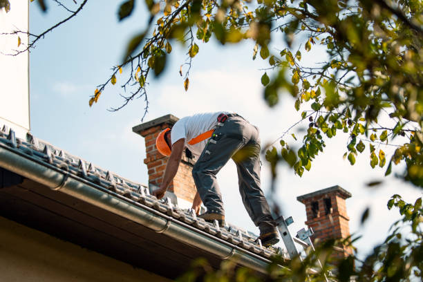 Best Roof Insulation Installation  in Cape Charles, VA