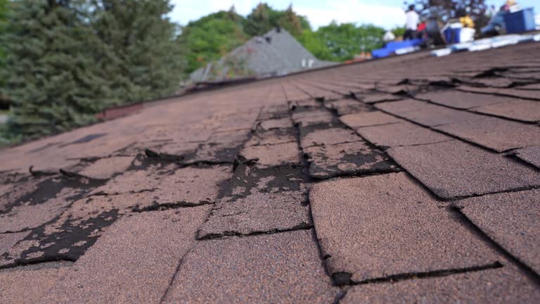 Best Commercial Roofing Services  in Cape Charles, VA