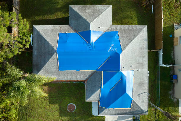 Best Metal Roofing Installation  in Cape Charles, VA