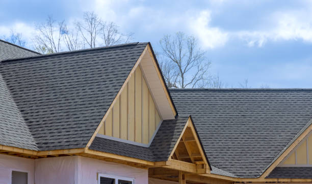 Best Roof Moss and Algae Removal  in Cape Charles, VA