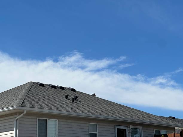 Best Hot Roofs  in Cape Charles, VA